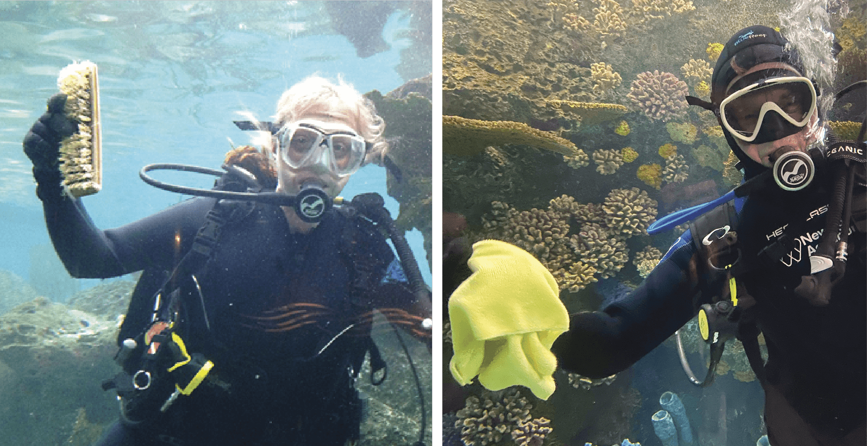 Photograph of Vanessa scuba diving with a brush in her hand; Photograph of George diving with a wash cloth in his hand 