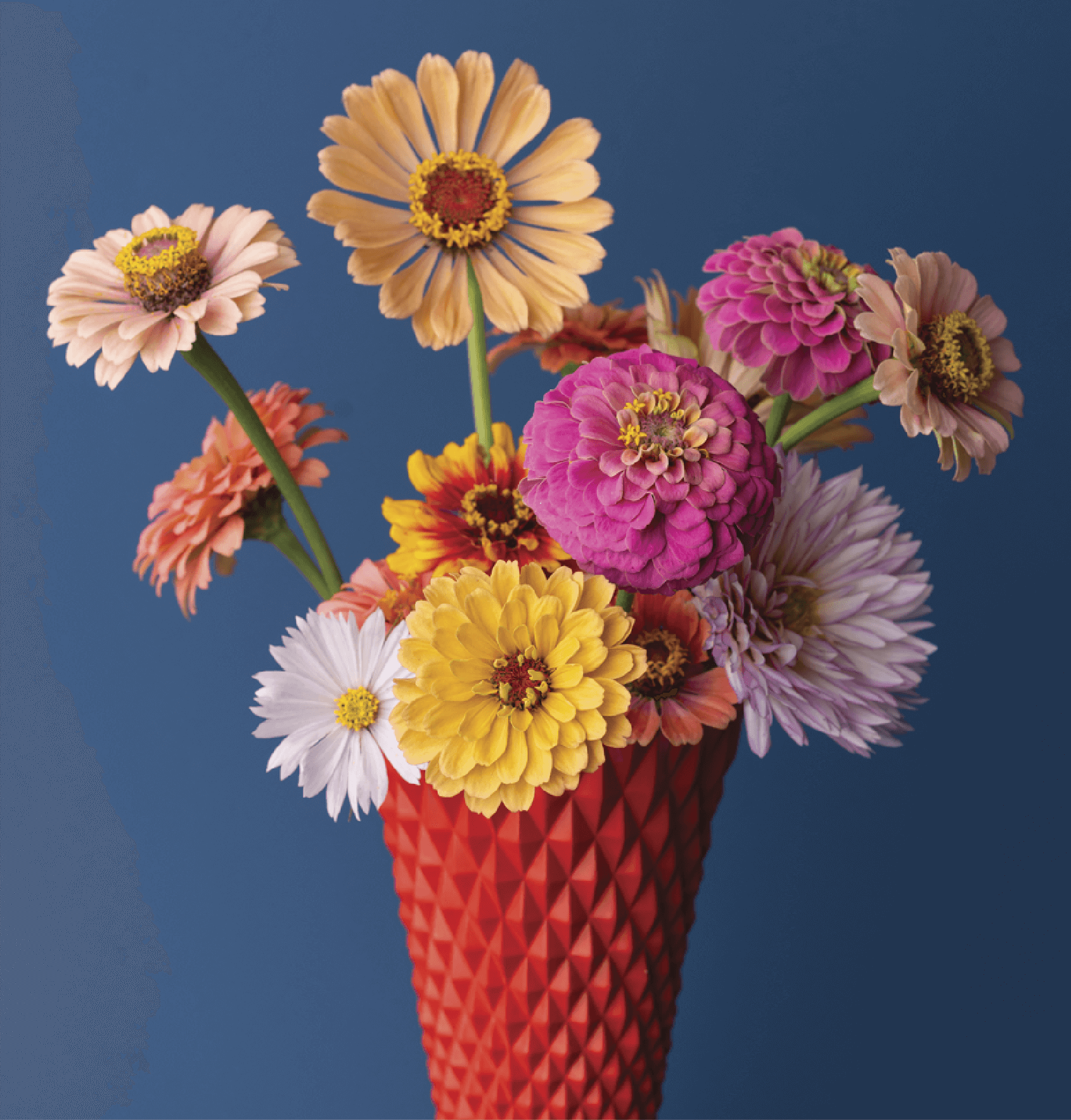 Bouquet of flowers