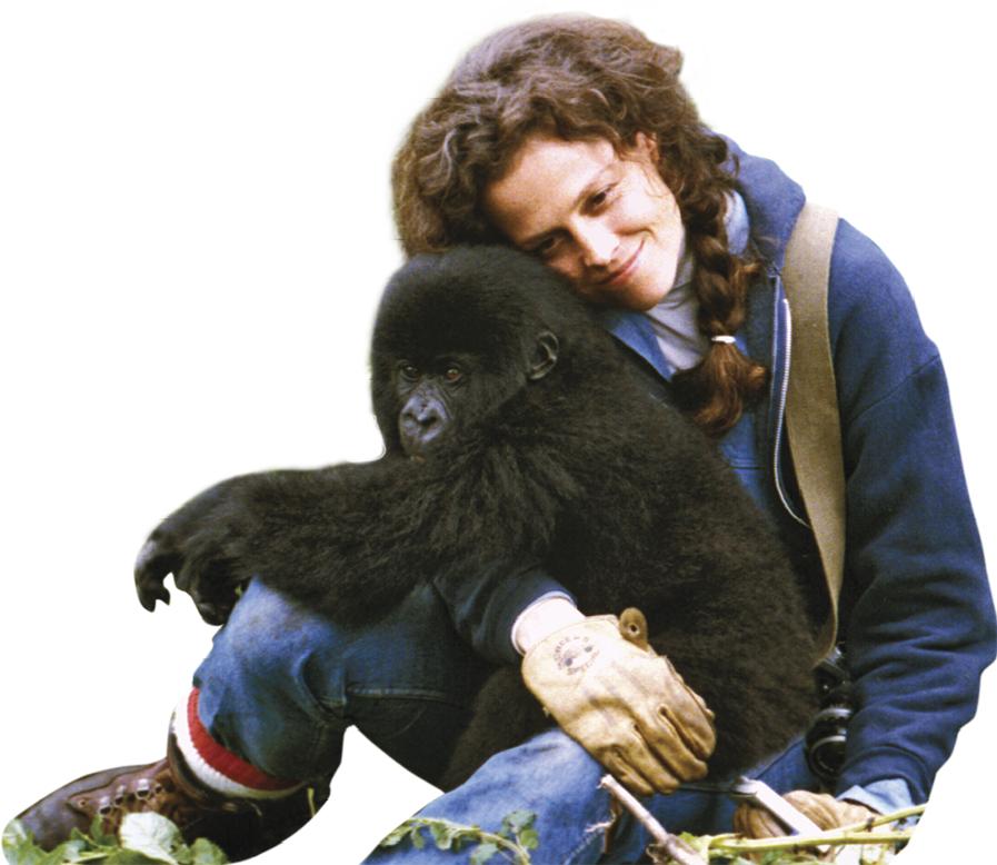 Portrait of her from the movie Gorillas in the Mist