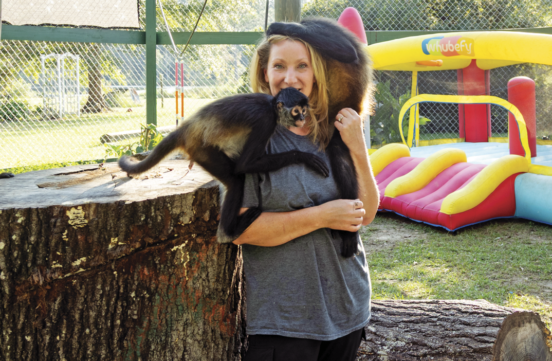 A man standing in what looks like a small, netted playground. A monkey is swinging on a rope behind her while she holds one and another is climbing over her head. They is a small inflatable bouncy house behind her too.