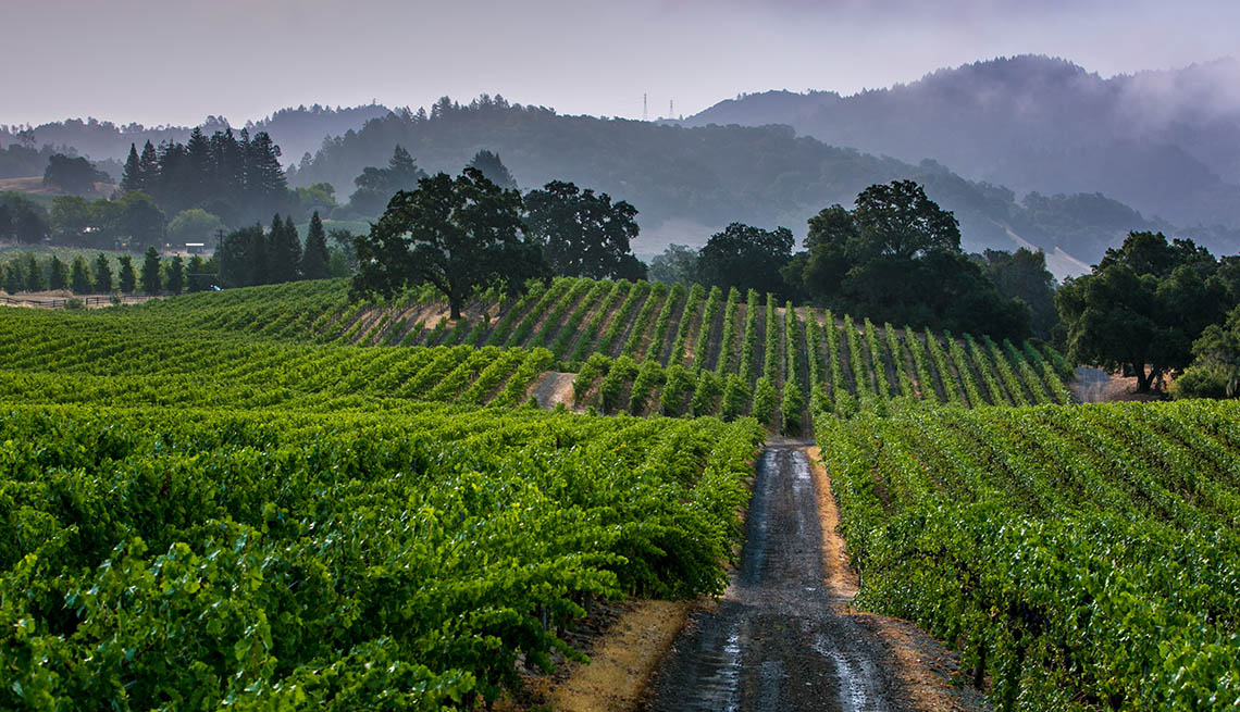 Vineyards In Healdsburg California, Second Honeymoon Destinations