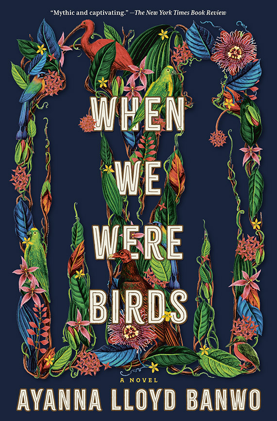 When We Were Birds book cover