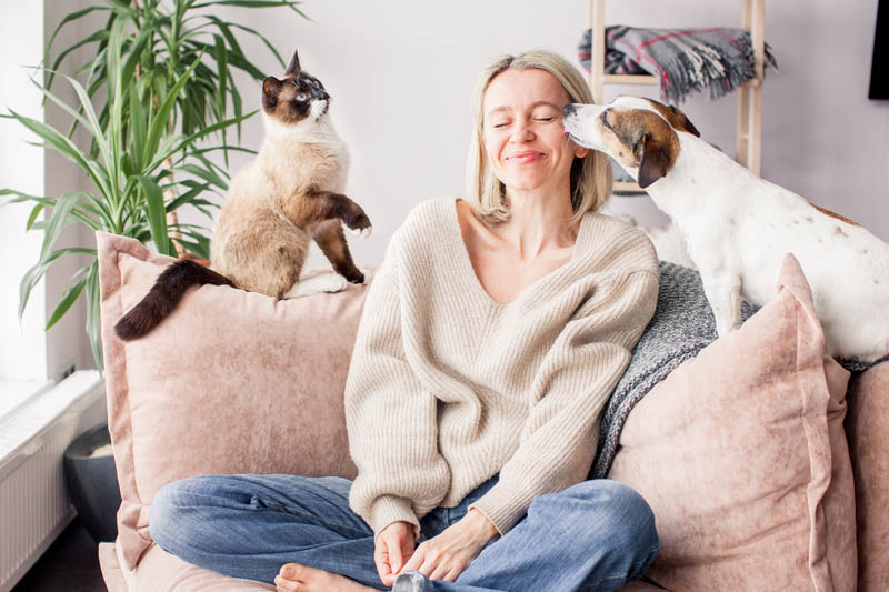 Pet Lovers