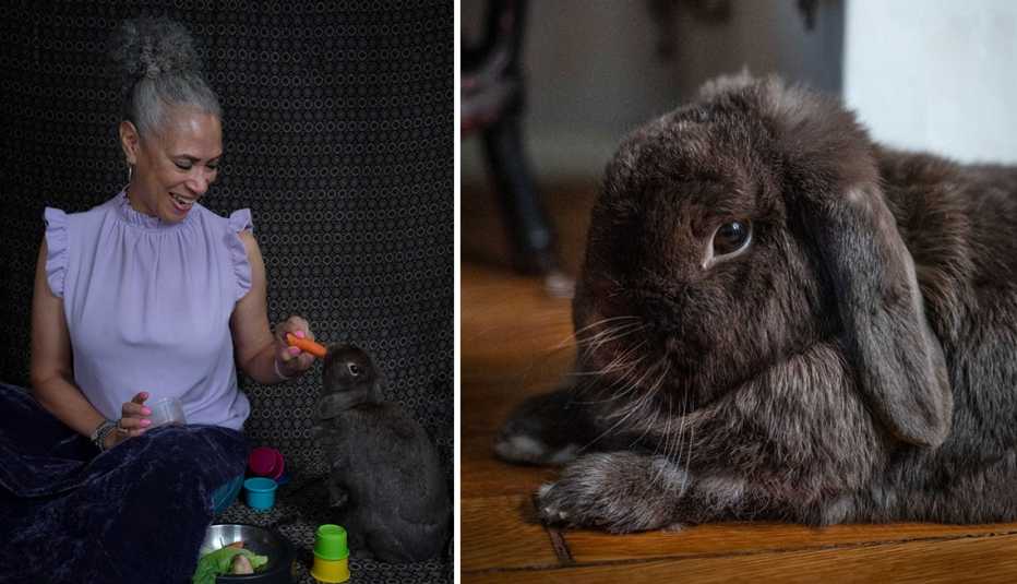 trae bodge and her rabbit willow