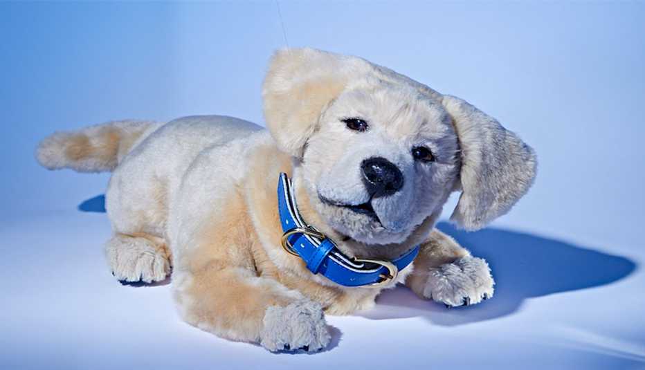 Jennie, the robot companion dog