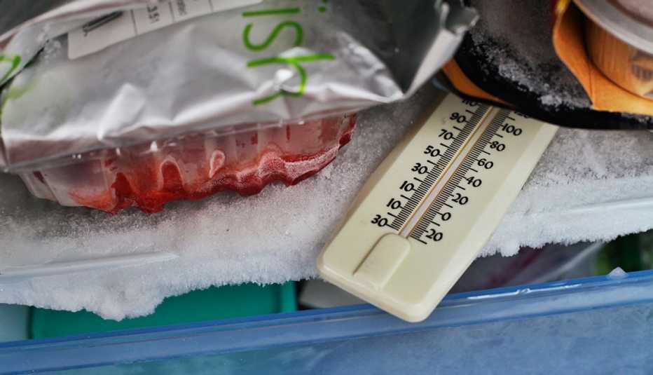 thermometer used to measure the air temperature inside a fridge freezer.