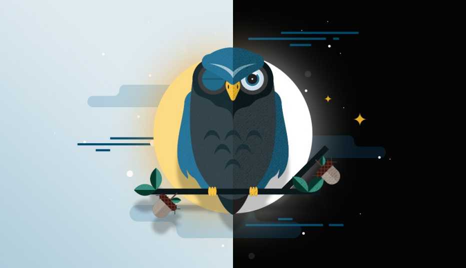 Night Owl