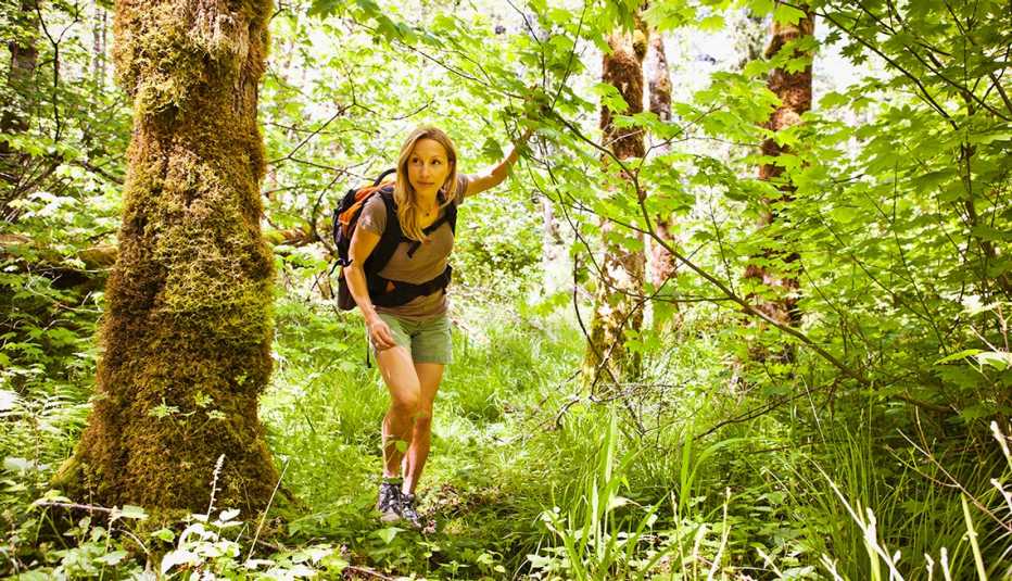 Bad Year for Lyme Disease 