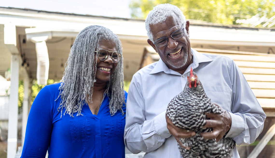 a couple raising backyard chickens