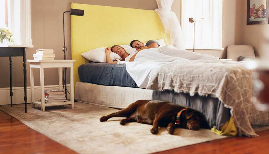 Sleeping With Dogs