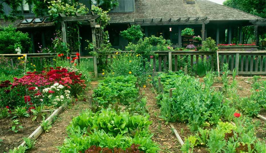 backyard with fenced in vegetable and flower garden planted in raised beds