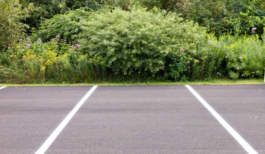 An empty parking lot