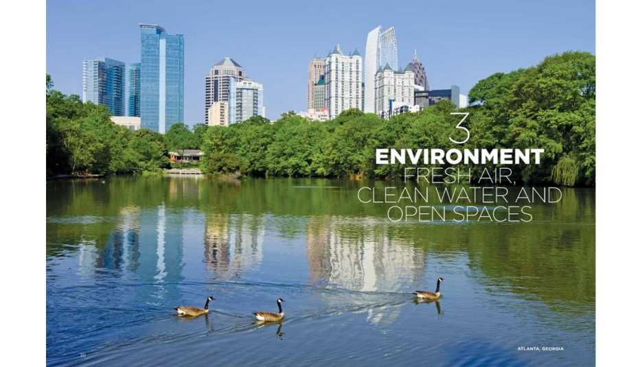 Lake With Geese, Tree Lined, Cityscape In Background, Daylight, Environment, Protecting Our Natural Resources, Livable Communities