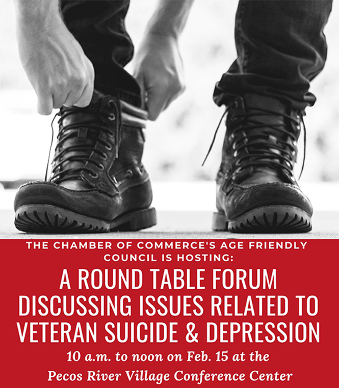Poster Advertises Vet Forum in Carlsbad, NM
