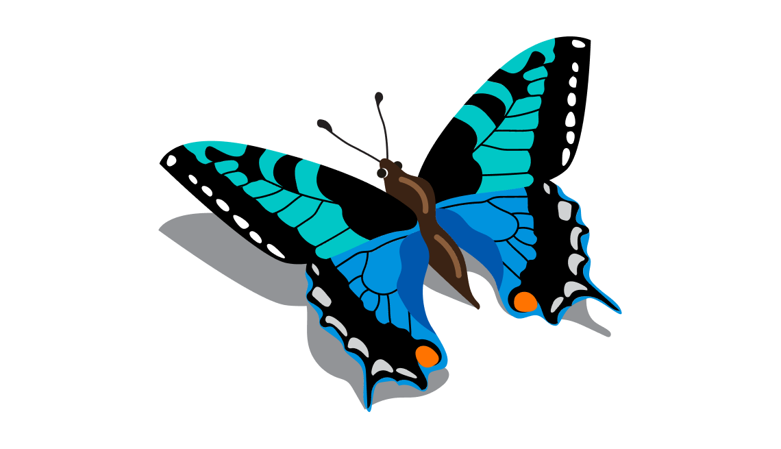 illustration of a blue and teal butterfly