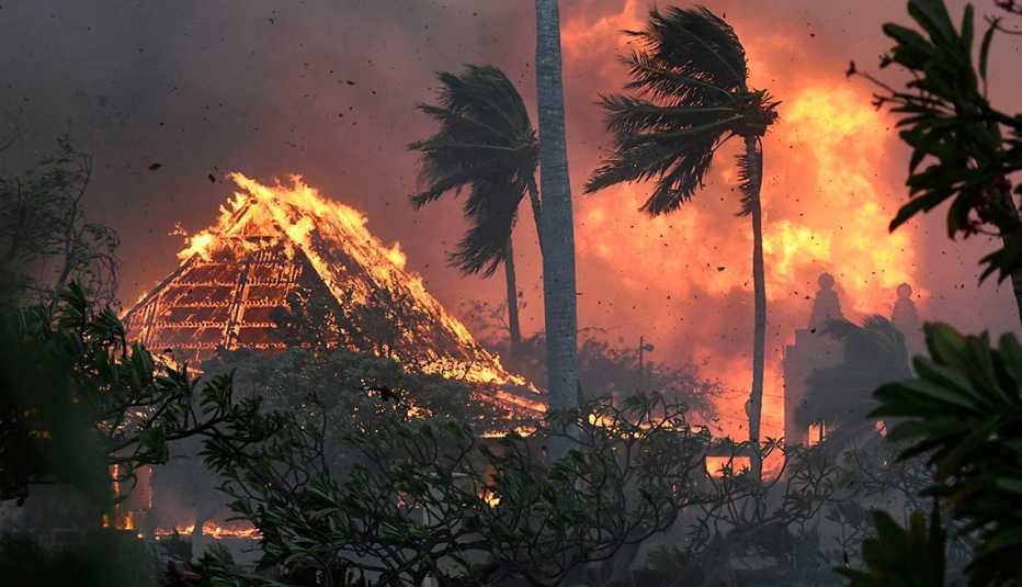 buildings burn in maui as wildfires sweep across the island