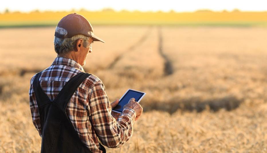 Farmer Using Tablet