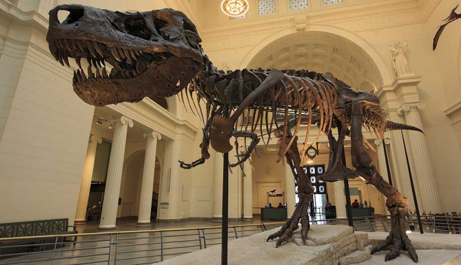 Dinosaur at The Field Museum in Chicago