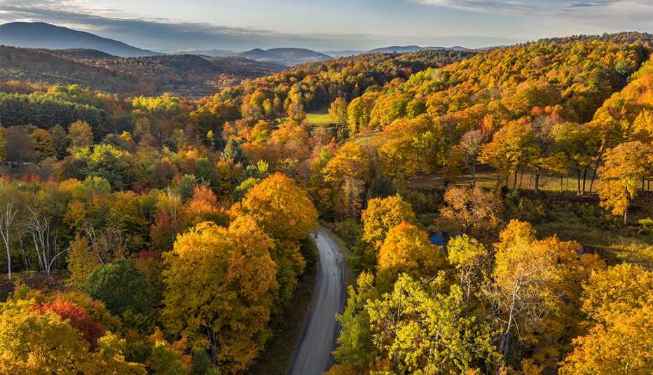a road running through fall foliage in new england