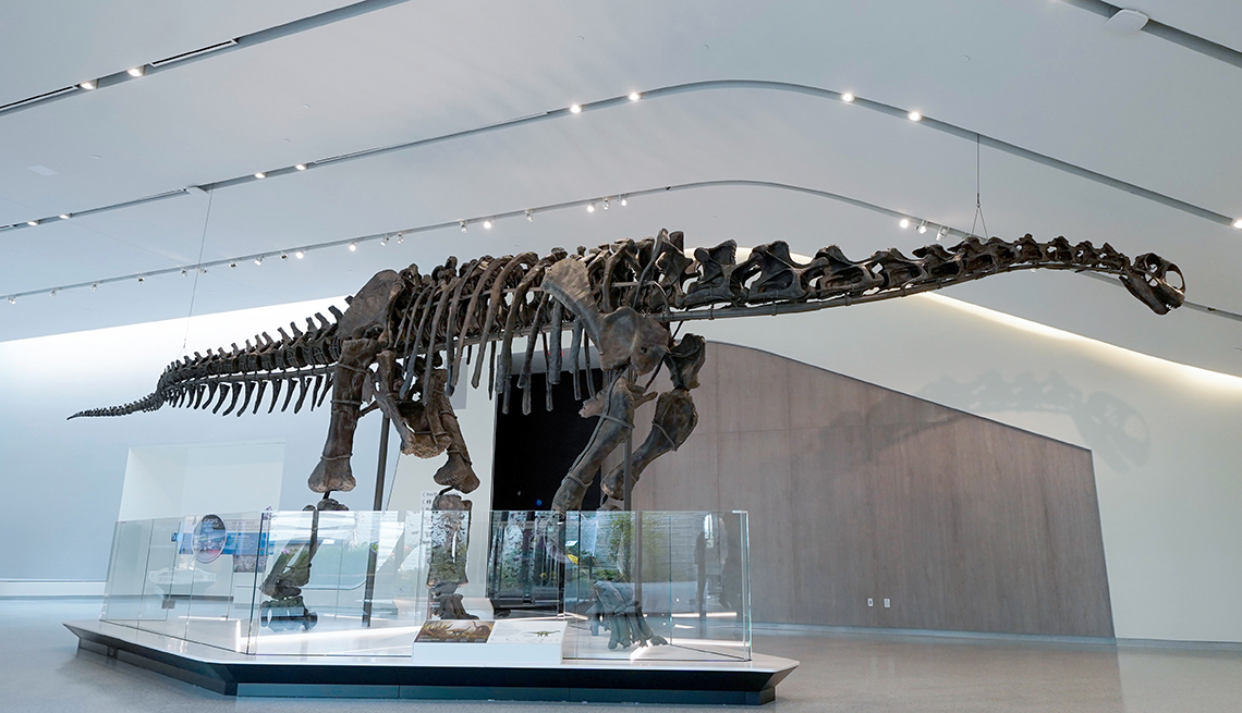 Happy dinosaur at the entryway of the Cleveland Museum of Natural History
