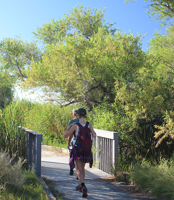 hikers along Corn Creek at Desert National Wildlife Refuge