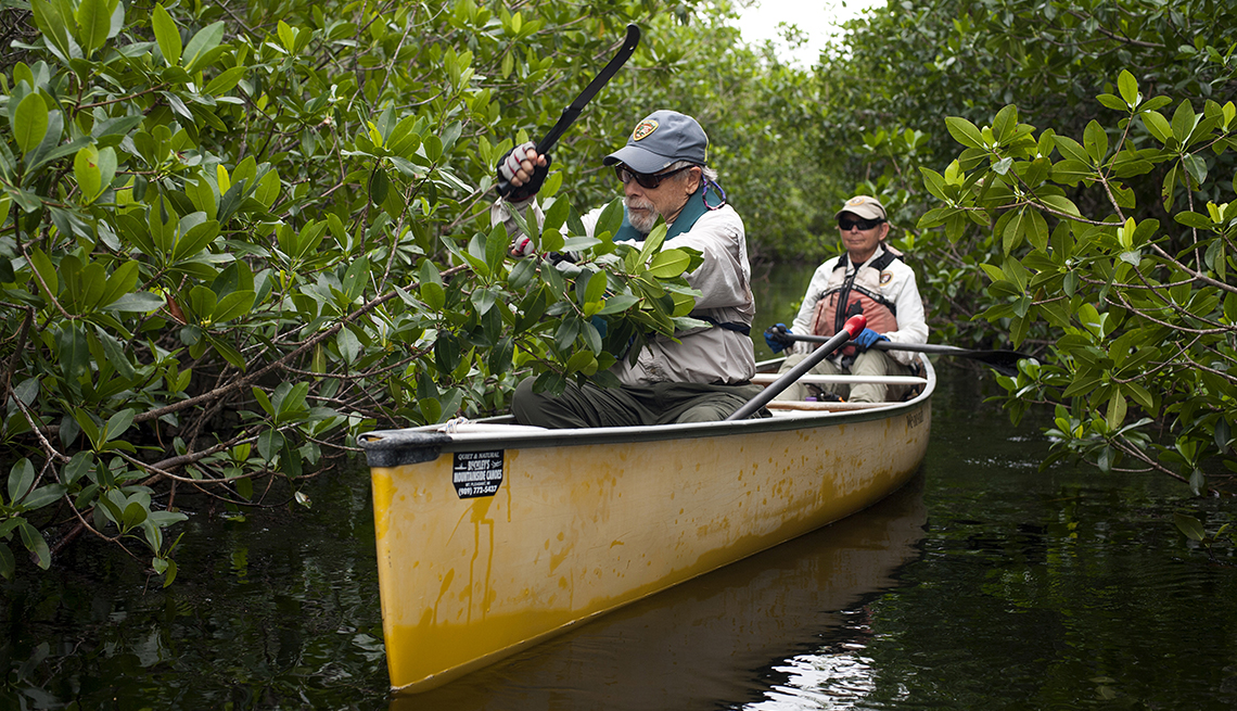 John Buckley Uses Machete to Trim Mangrove Trees on Water Trail in Everglades National Park in Florida, Travel, National Parks Volunteer