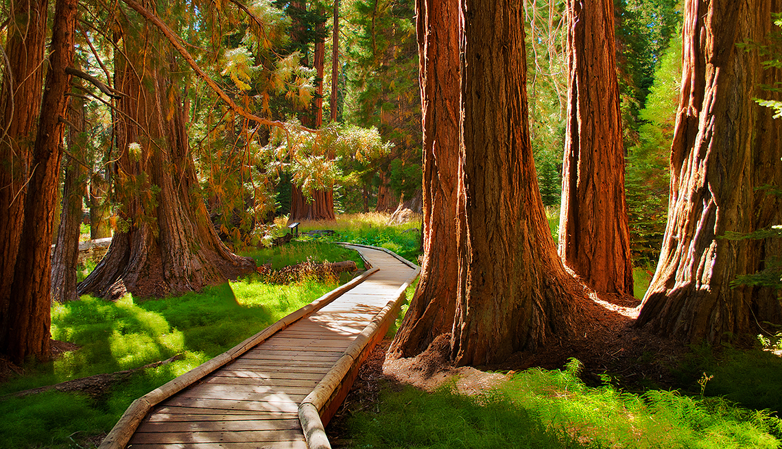 Sequoia National Park, California