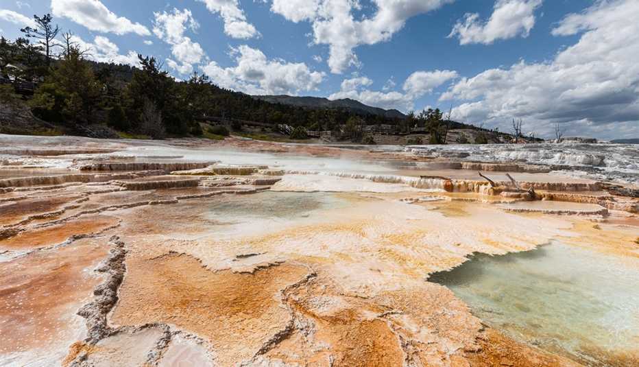 Terraces at Mammoth Hot Springs 