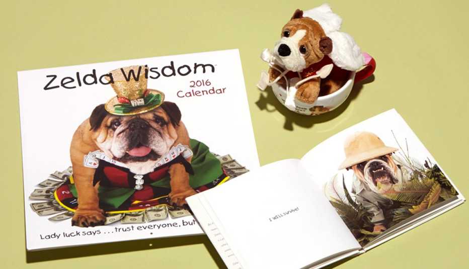 Carol Gardner's Zelda Wisdom products 