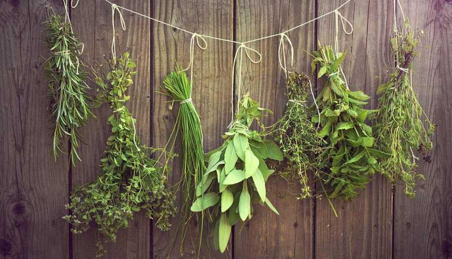 Distintas hierbas culinarias colgando de una cuerda