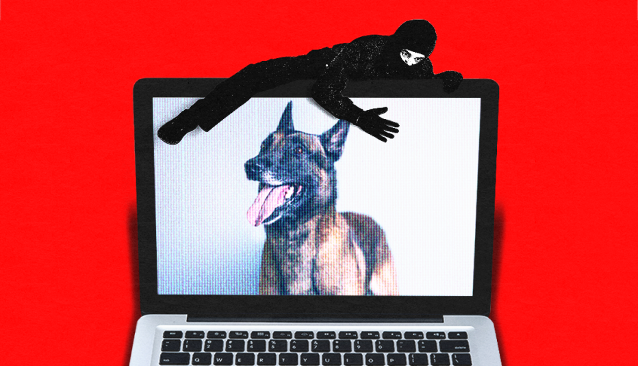 un ladrón trepa por encima de una computadora portátil