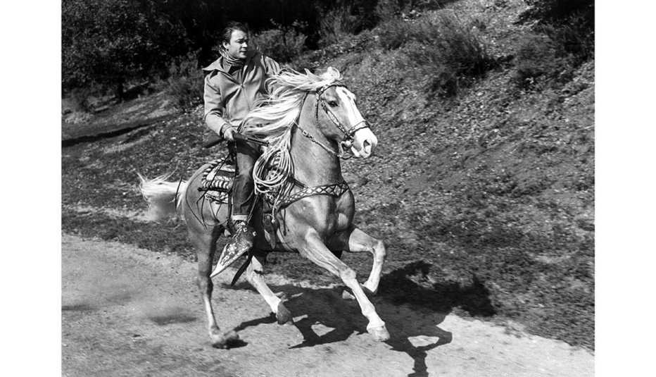Animales estrellas de cine y TV - Trigger