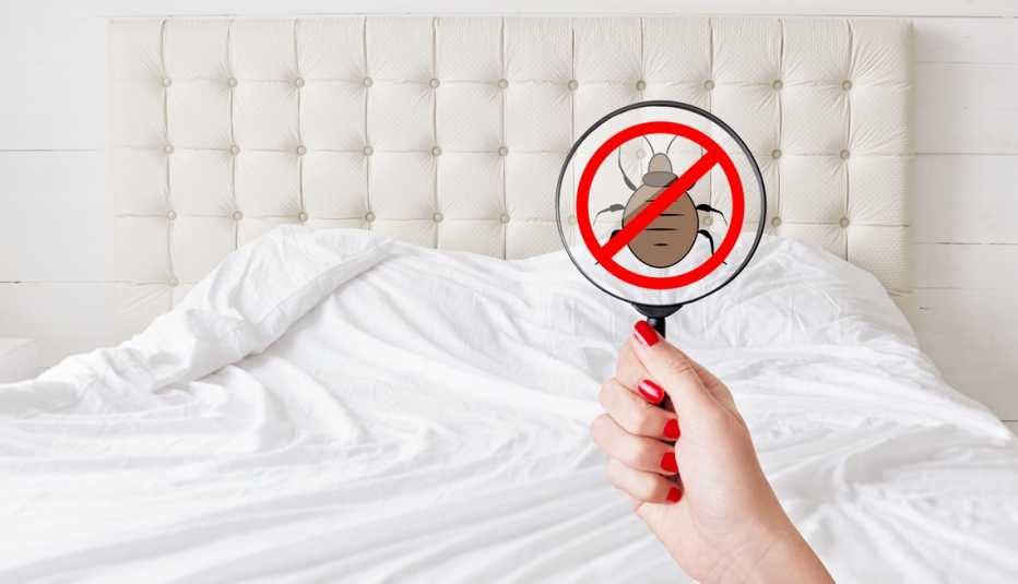 Persona con una lupa observa un chinche de cama