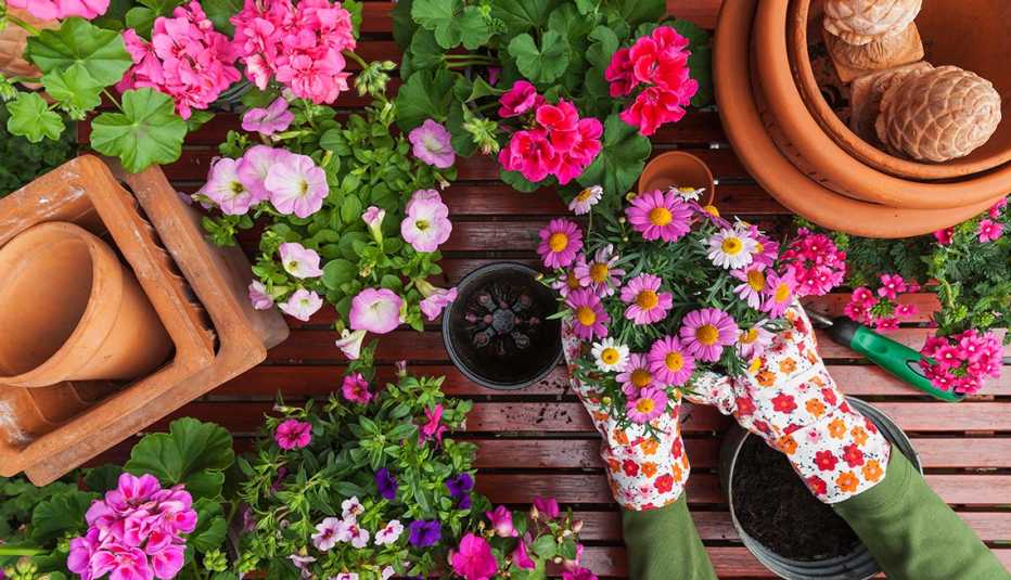 Persona plantando flores en una maceta
