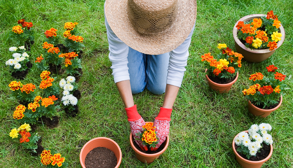 Persona plantando flores en el jardín