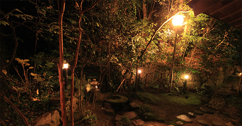 Perspectiva de un jardín iluminado