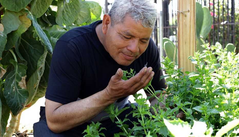 Un hombre huele una planta de menta