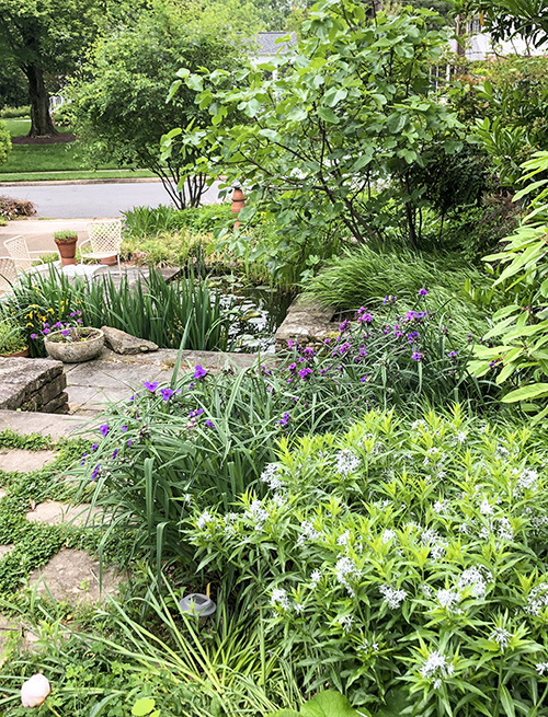 Jardín con plantas y flores