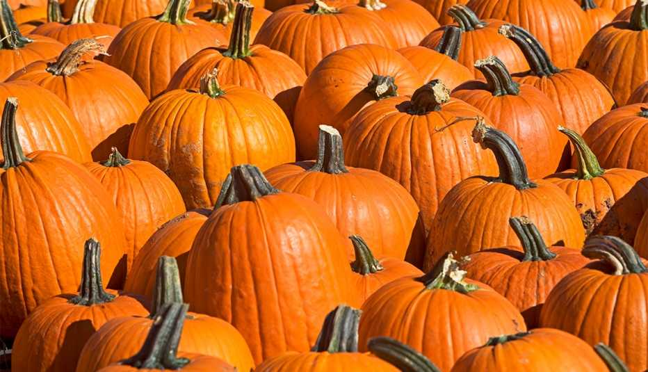 Varias calabazas agrupadas