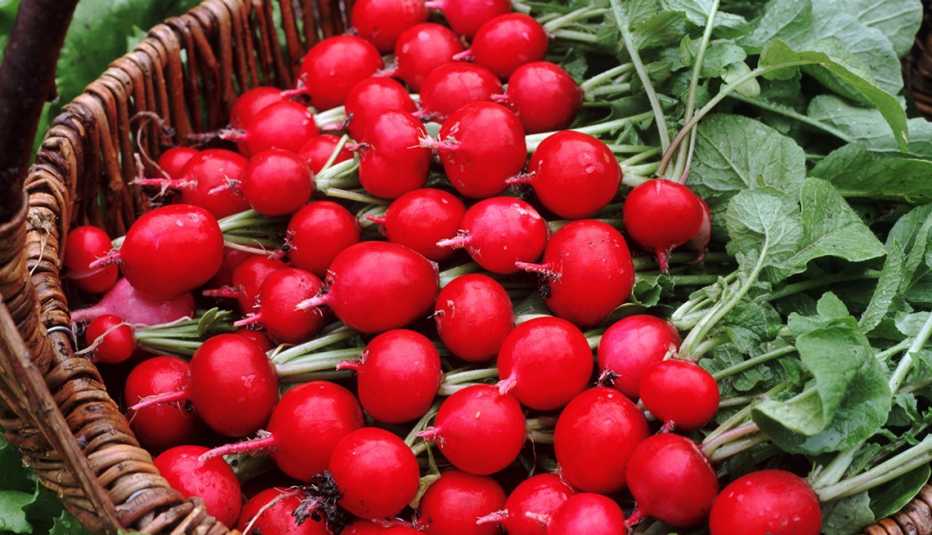 Rábanos rojos en una cesta