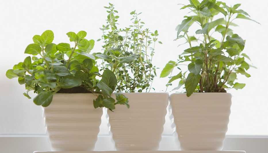 Slideshow: Prepare Your Home for Cold Season