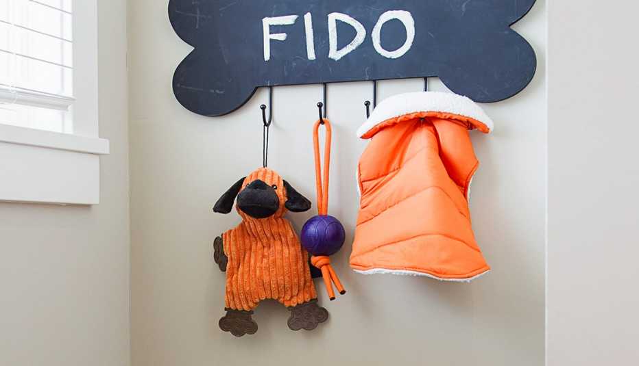 Accesorios para mascota colgando en una pared