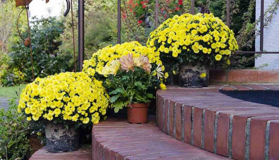 Ideas sencillas para mejorar el exterior de la casa