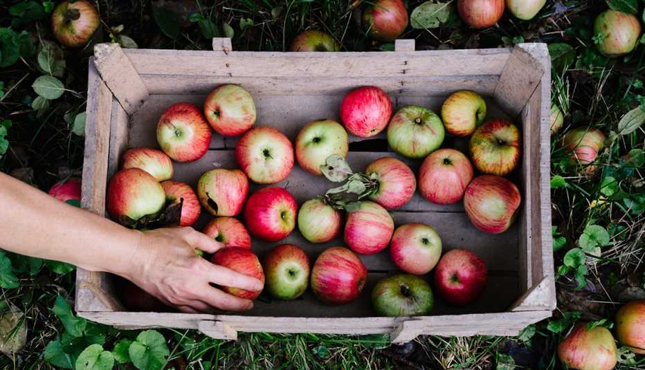 Caja de madera con manzanas rojas