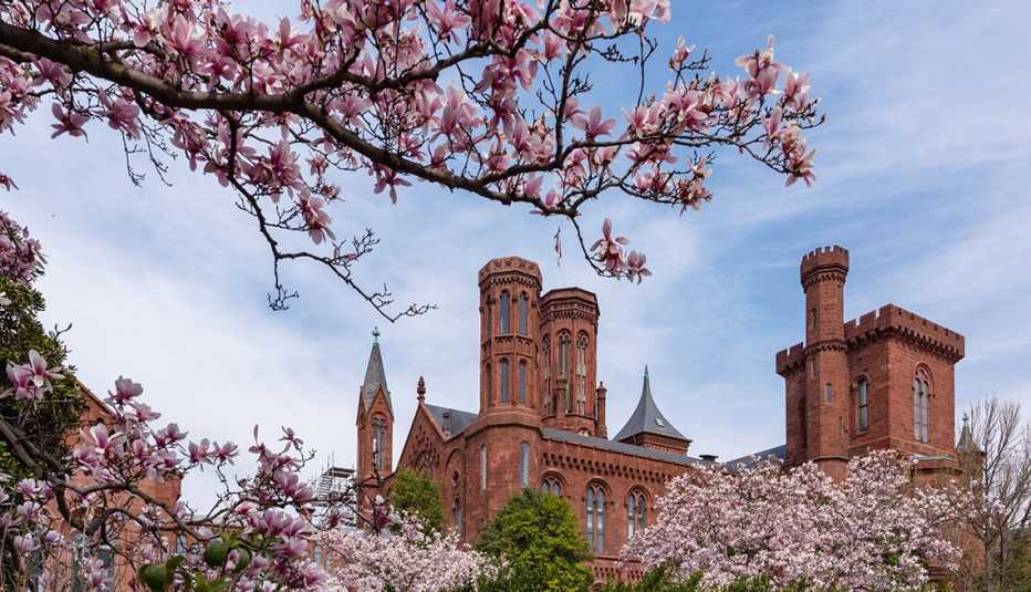 Vista de las torres superiores del castillo Smithsonian en Washington DC.