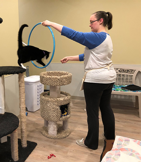 Una mujer entrena un gato