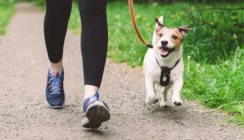 Una mujer pasea a su perro pequeño