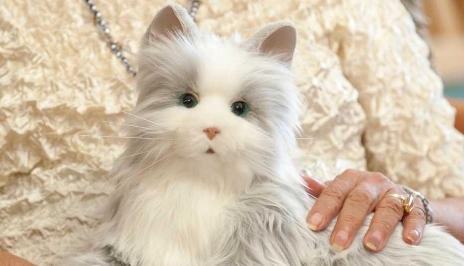 Mujer con un gato de juguete