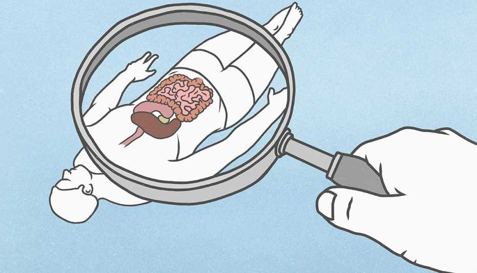 Ilustración de una mano con una lupa observando un cuerpo humano donde se destacan los órganos internos