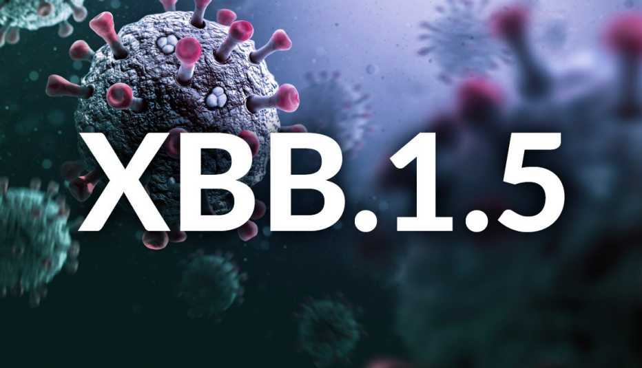 Gráfico del coronavirus y sobre él tiene escrito la última variante XBB.1.5